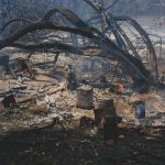 The Impact of Shopping on Your Overall Carbon Footprint