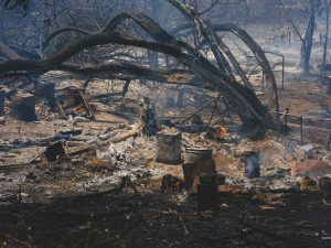 The Impact of Shopping on Your Overall Carbon Footprint