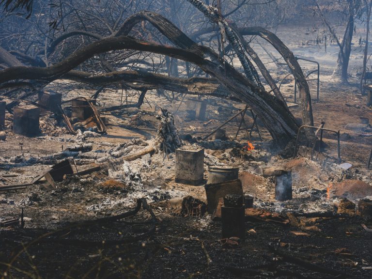 The Impact of Shopping on Your Overall Carbon Footprint