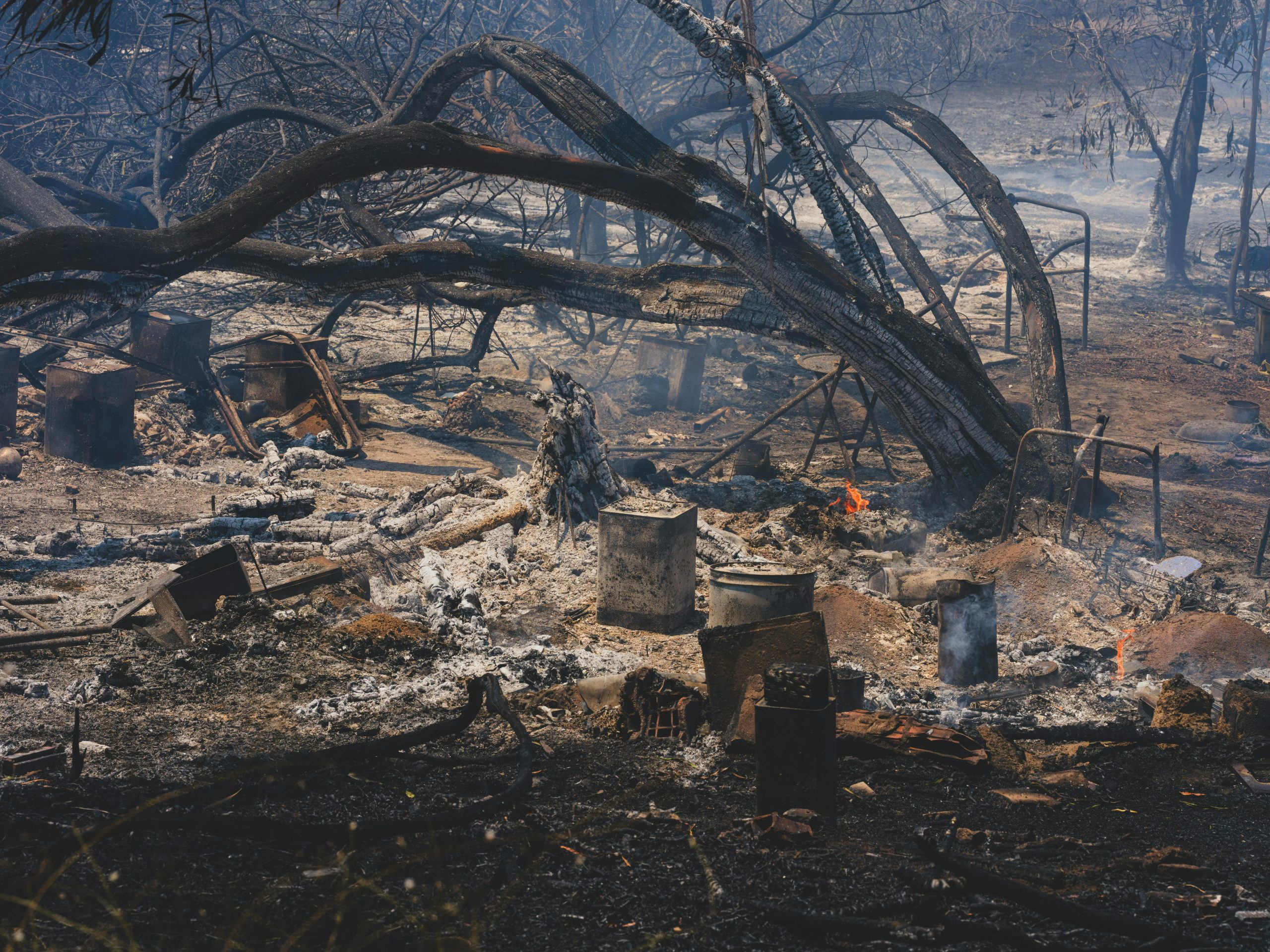 The Impact of Shopping on Your Overall Carbon Footprint