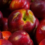 Exploring the Market for Eco-Friendly Sustainable Housing