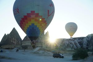 Exploring the World of Agritourism: Farm Stays and Experiences