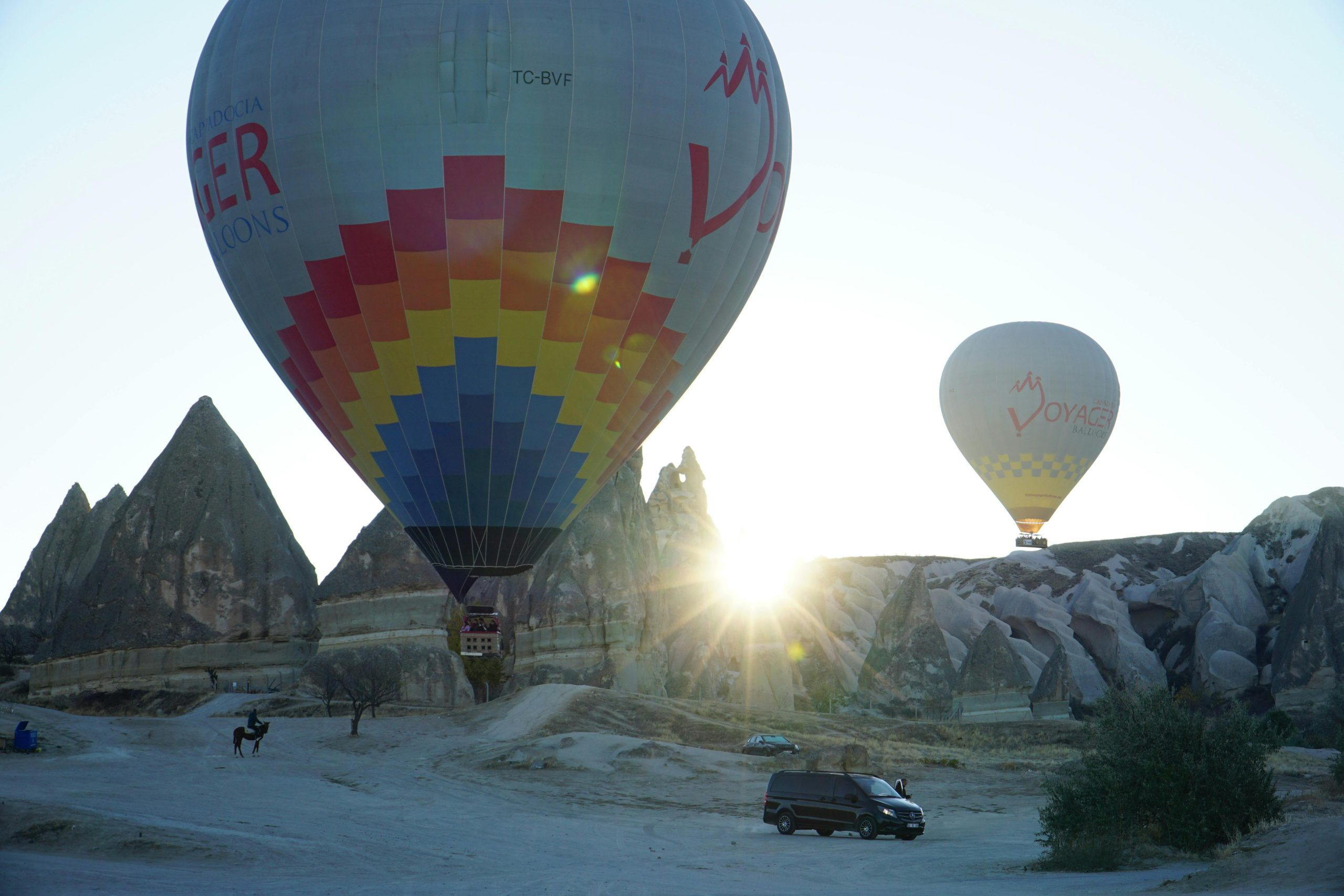 Exploring the World of Agritourism: Farm Stays and Experiences