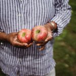 How to Successfully Grow and Harvest Microgreens Indoors
