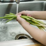 How to Choose the Right Water Filter for Drinking and Cooking