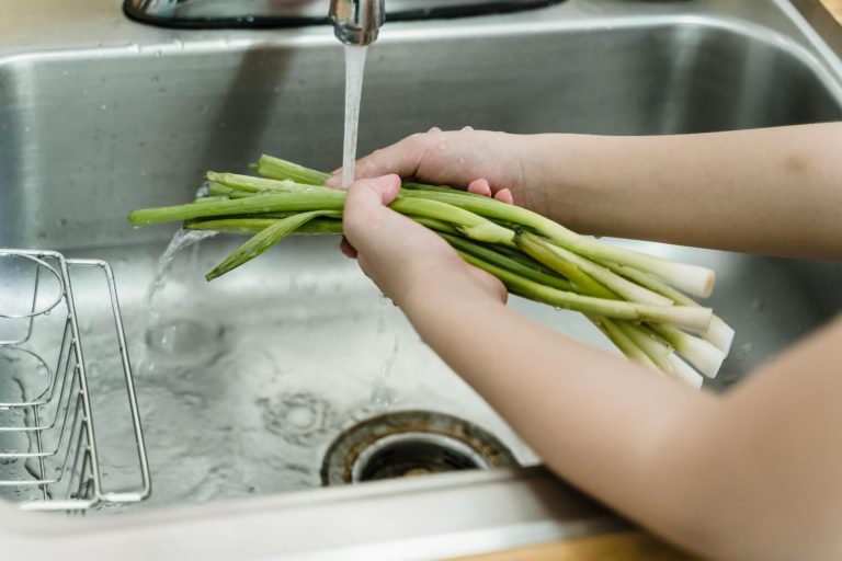 How to Choose the Right Water Filter for Drinking and Cooking