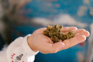 Medical Cannabis Legalization and Regulatory Challenges