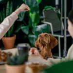 Analyzing the Relationship Between Wages and Housing Costs