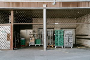 The Future of Food Storage: Vacuum Sealing and Preservation