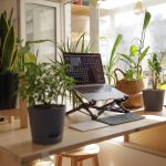 The Importance of Ergonomics: Gadgets for a Healthier Workspace