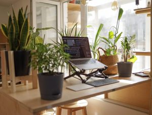 The Importance of Ergonomics: Gadgets for a Healthier Workspace